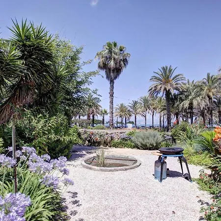 Face A La A Antibes