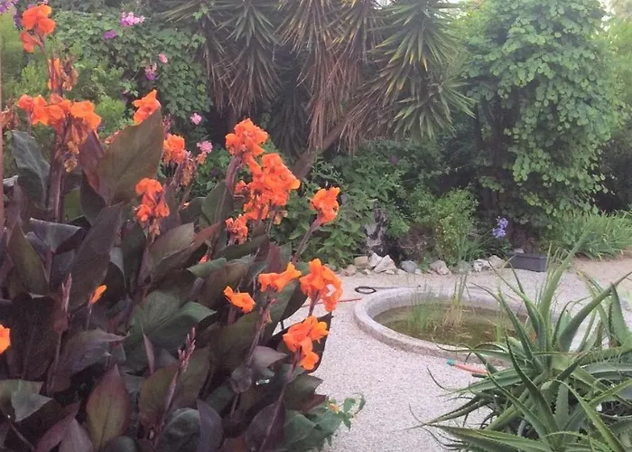 Сasa de vacaciones Face A La A